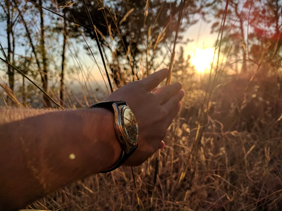 Brazo y mano extendidos hacia el sol entre la vegetación