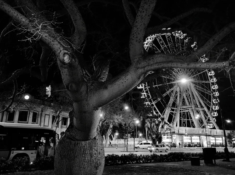 Noria iluminada vista entre las ramas de un árbol, en blanco y negro