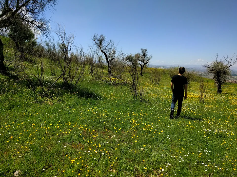 Persona caminando por una pradera verde con pequeñas flores amarillas
