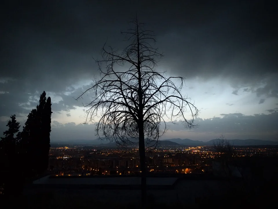 Árbol sin hojas frente a un paisaje urbano bajo nubes oscuras